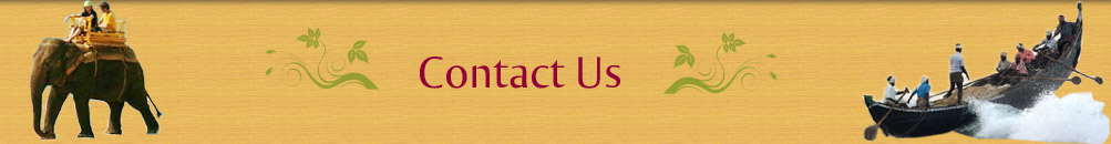 Contact Us