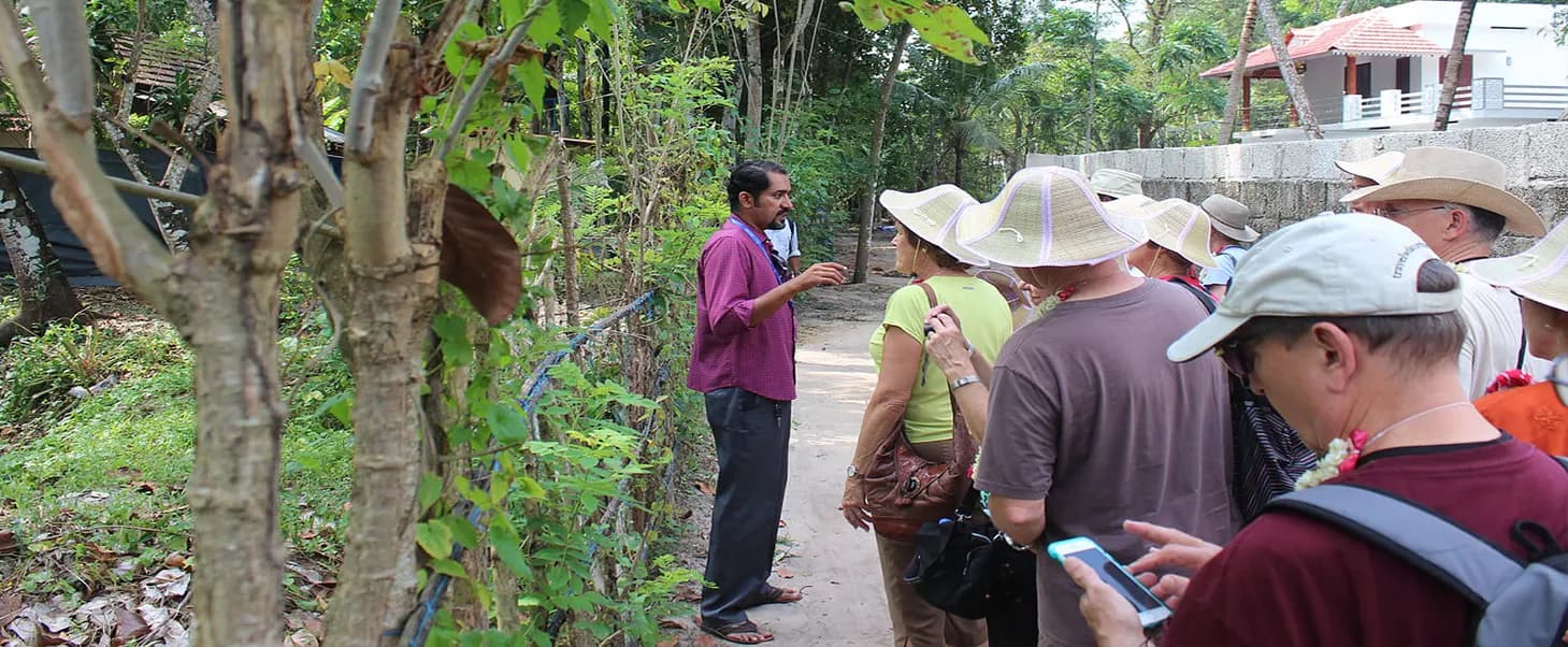 Kerala backwaters surrounded by tropical greenery