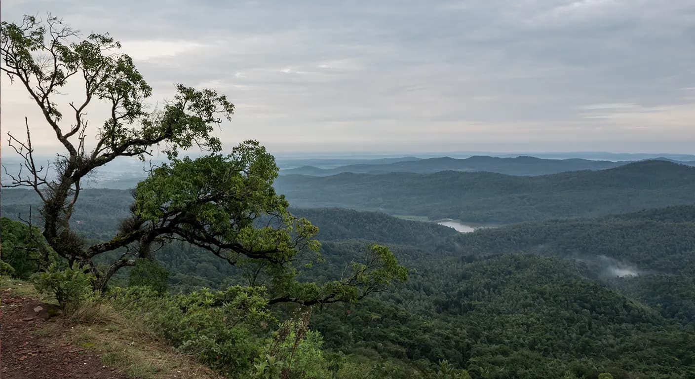 chikmagalur