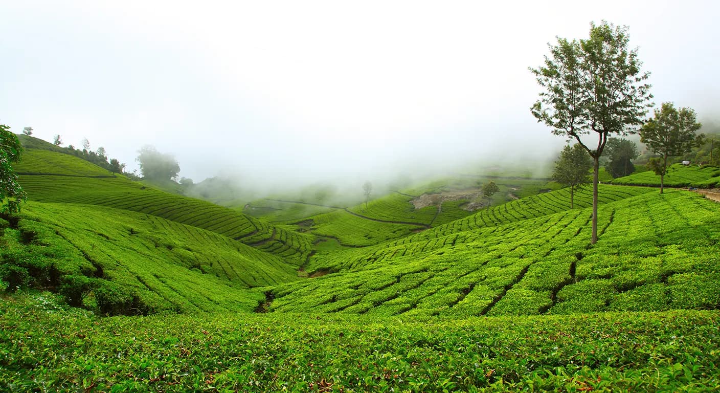 coonoor