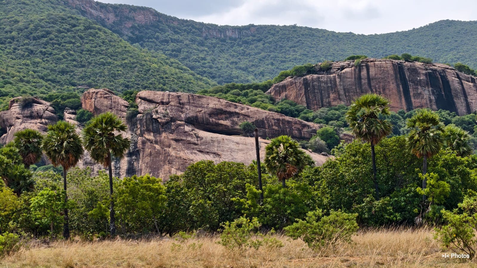 kidaripatti-jain-cave-alagarmalai