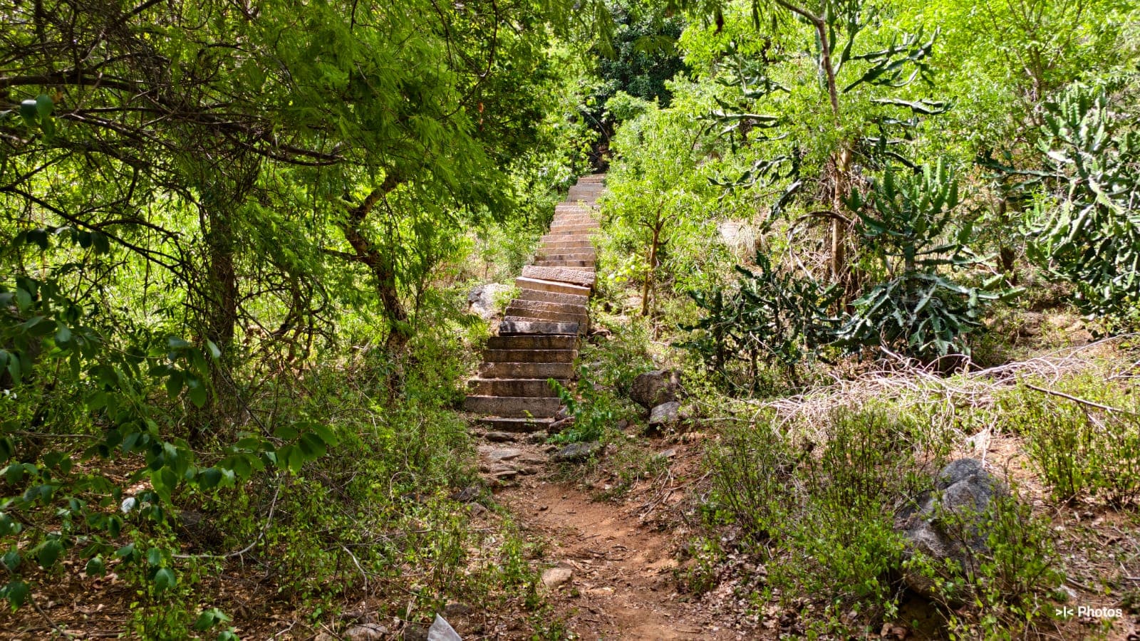 kidaripatti-jain-cave-heritage-site