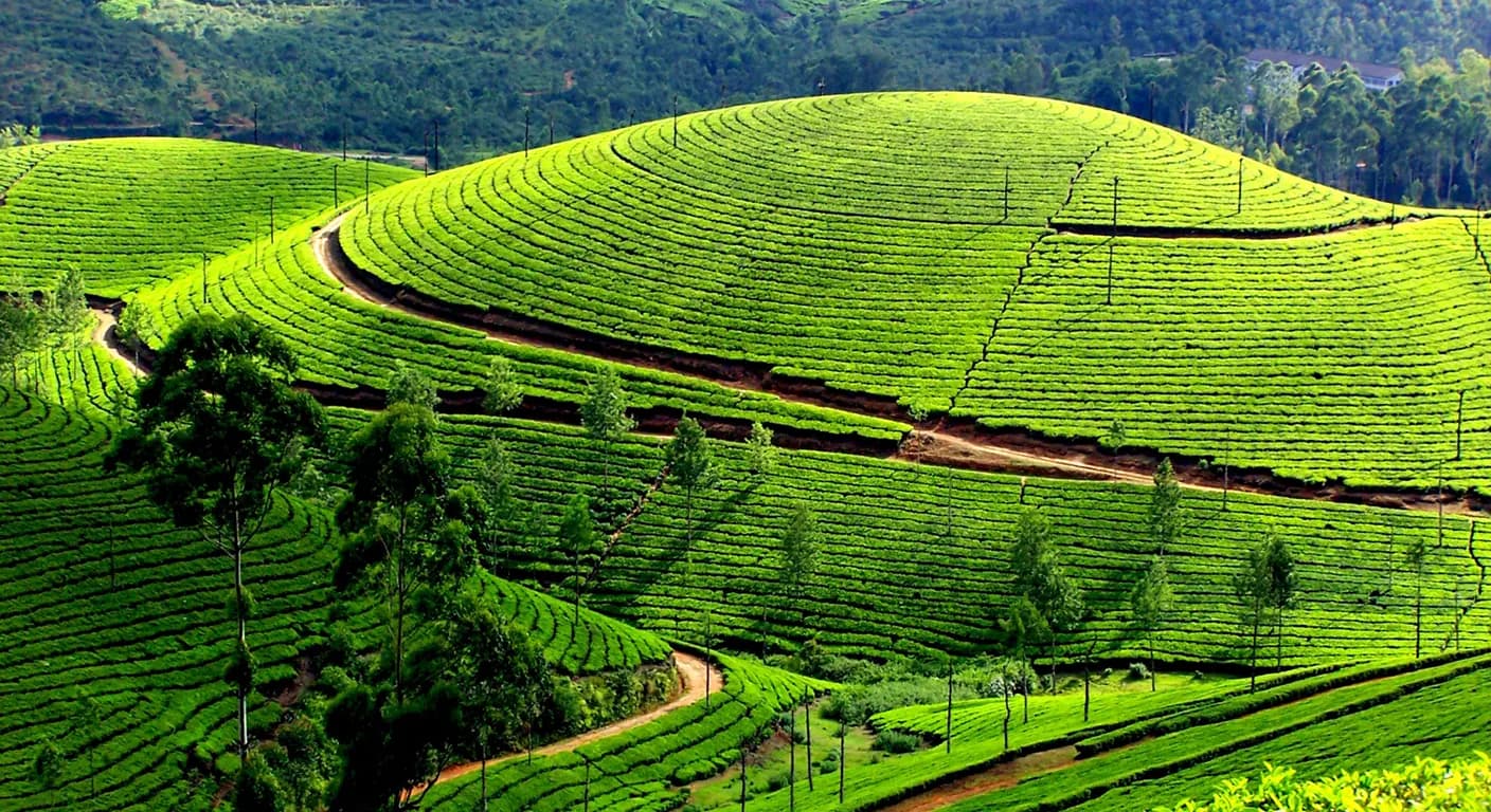 munna-hill