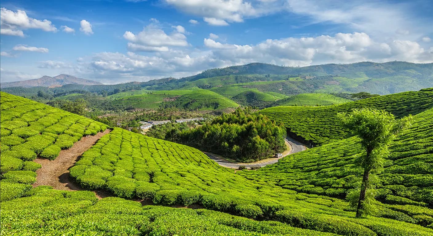 munnar-hills