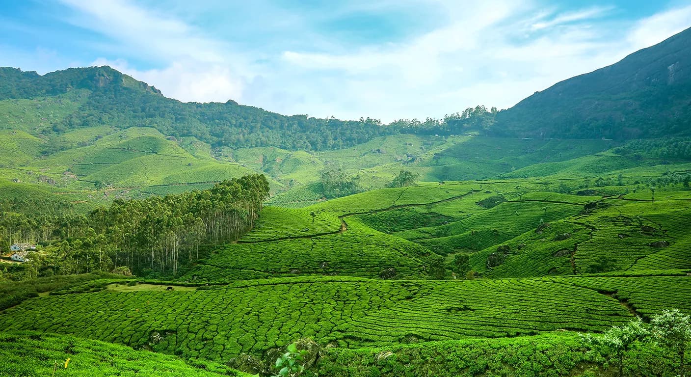 munnar