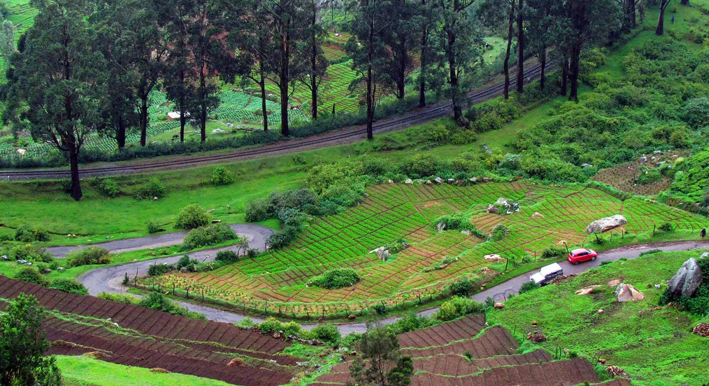 ooty