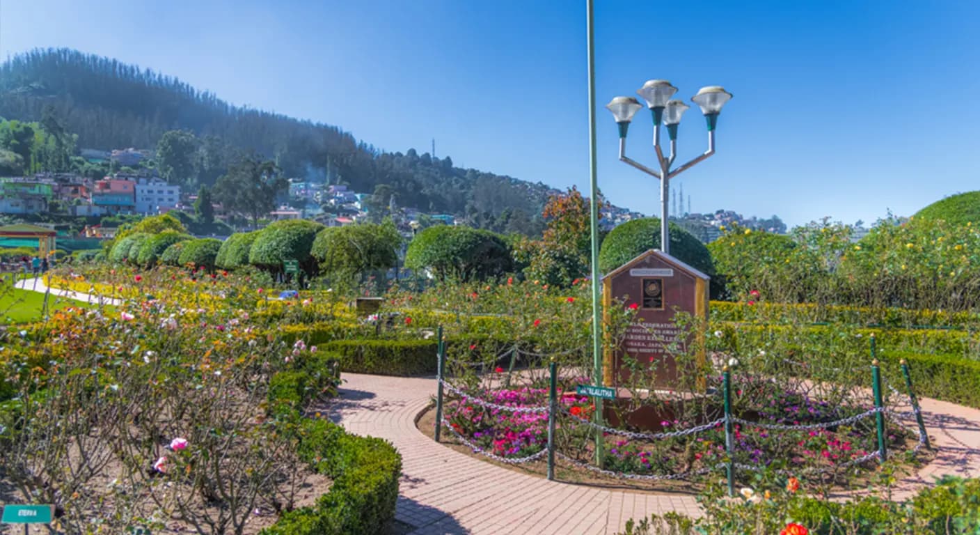 rose-garden-ooty