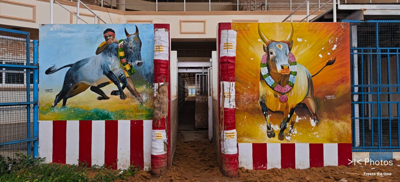 jallikattu-vadivasal-alanganallur