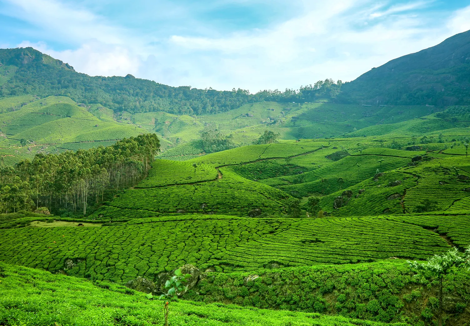 South india Tour